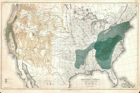 Historic Map : The United States Depicting Beech Trees, Sargent Arboreal, 1884, Vintage Wall Art