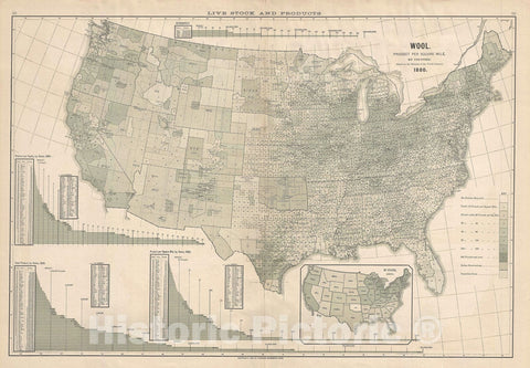 Historic Map : The United States Illustrating Wool Production, Scribner's, 1883, Vintage Wall Art