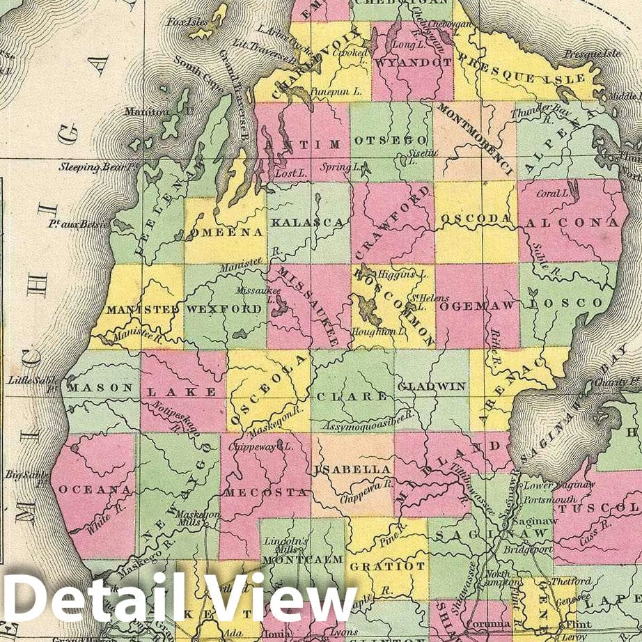 Historic Map : Michigan, Mitchell, 1854, Vintage Wall Art