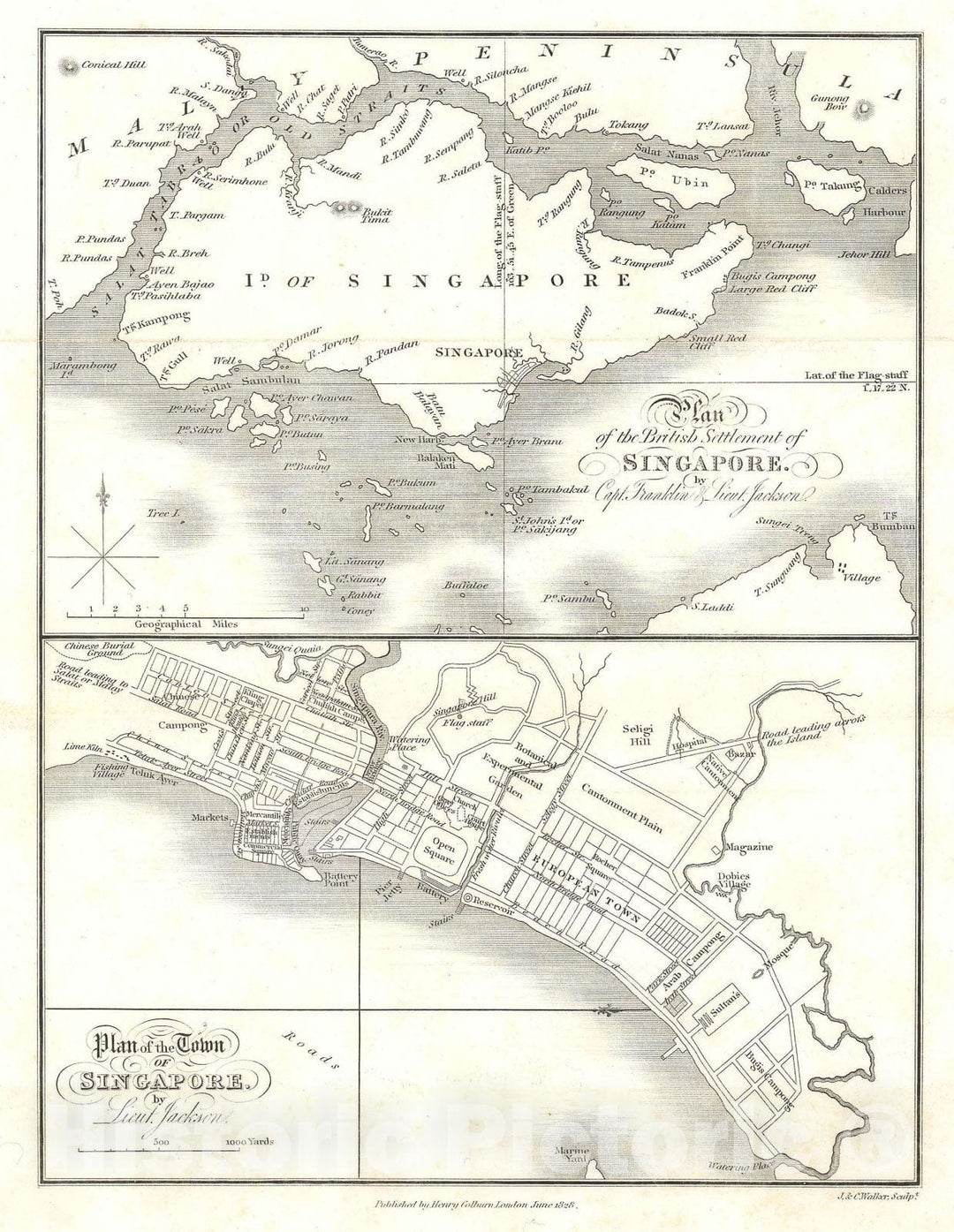 Historic Map : Singapore - first Map of, Jackson - Crawfurd, 1828, Vintage Wall Art