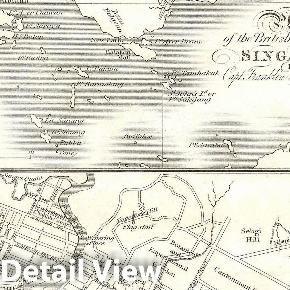 Historic Map : Singapore - first Map of, Jackson - Crawfurd, 1828, Vintage Wall Art