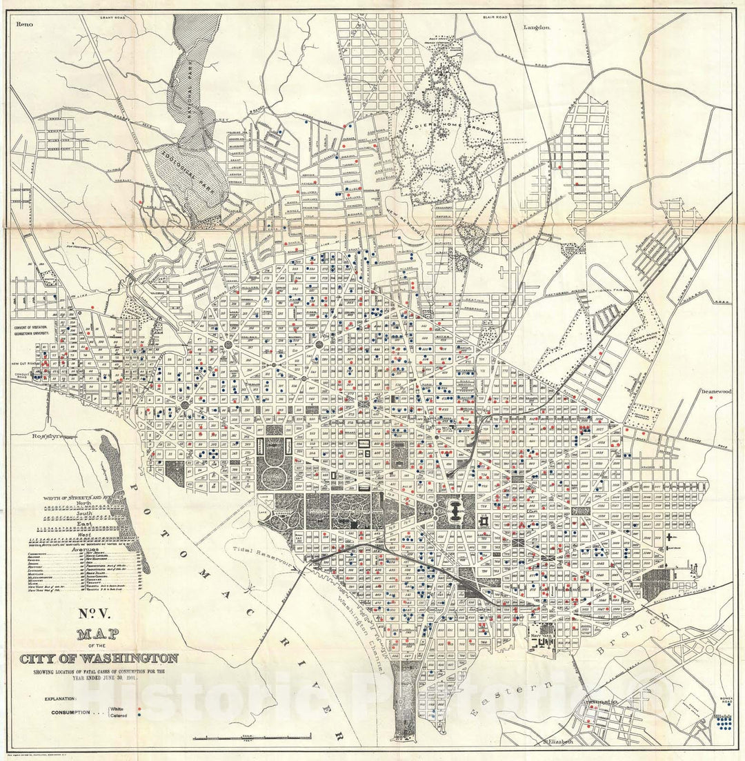 Historic Map : Washington D.C. w/ Consumption Mortality, Norris Peters, 1901, Vintage Wall Art