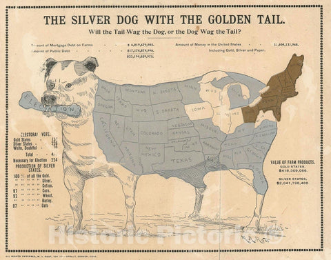 Historic Map : The United States 'The Silver Dog with The Golden Tail', Root, 1896, Vintage Wall Art