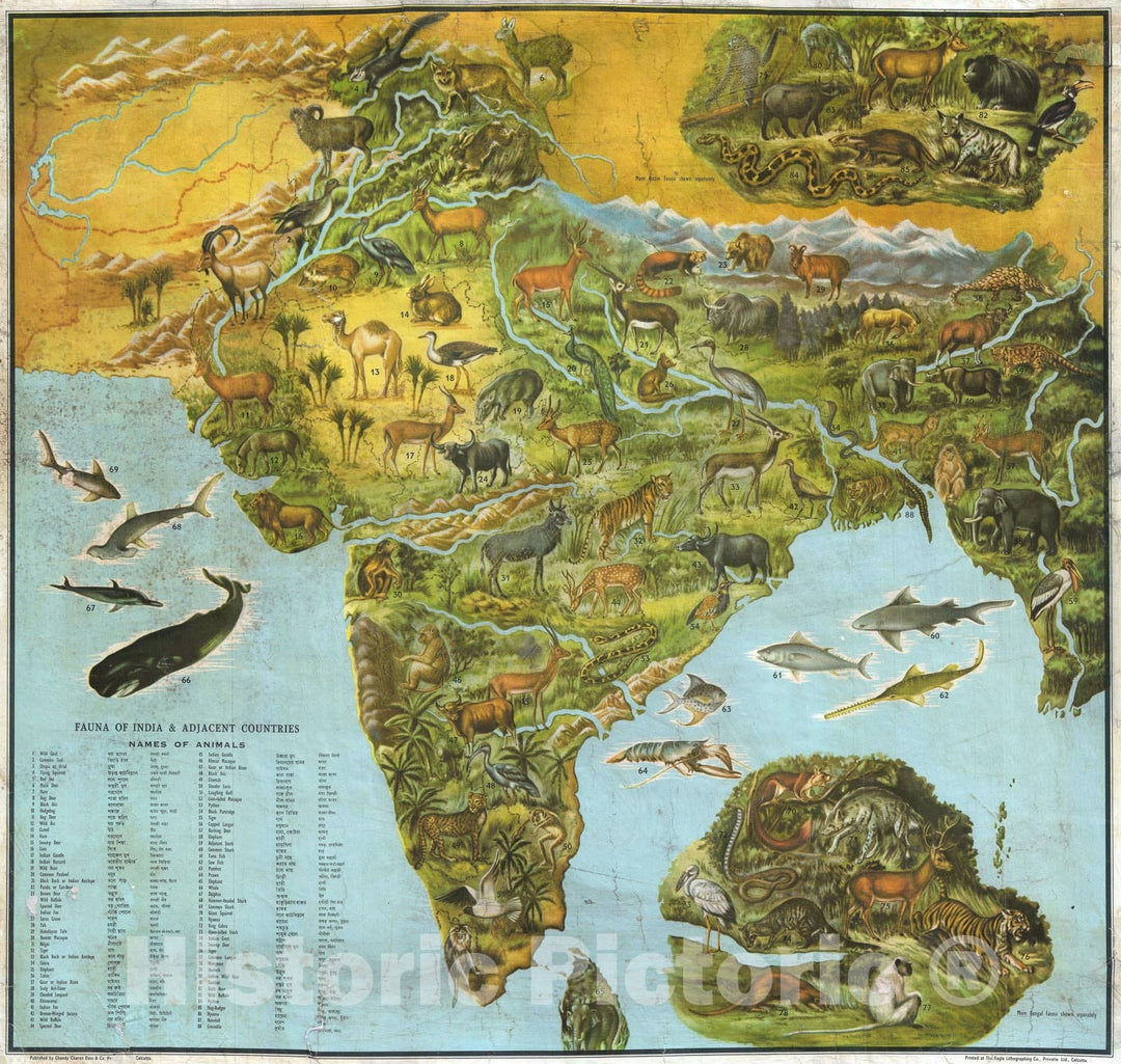 Historic Map : India Illustrating Animals, Dass, 1947, Vintage Wall Art