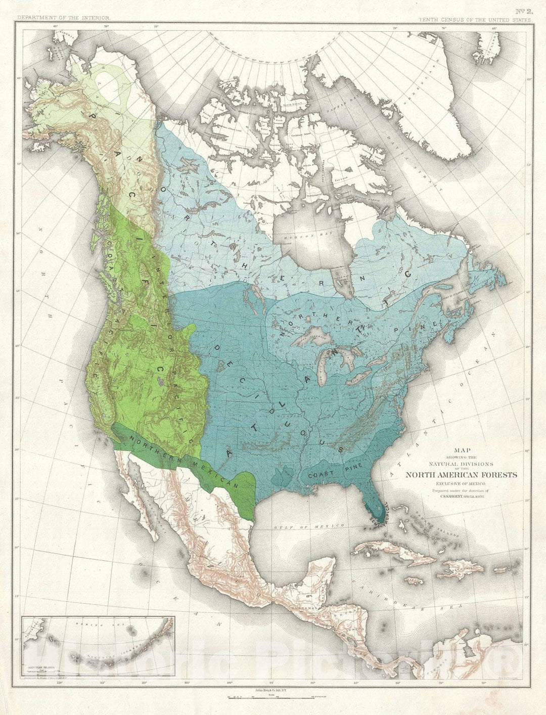 Historic Map : North American Forests, Sargent Forestry, 1884, Vintage Wall Art