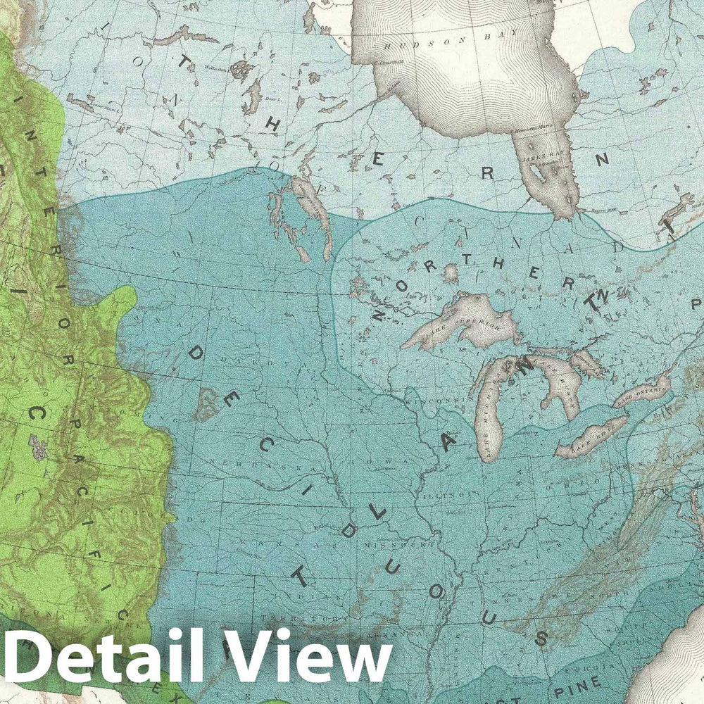 Historic Map : North American Forests, Sargent Forestry, 1884, Vintage Wall Art