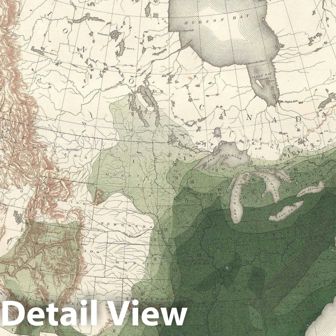 Historic Map : North America Depicting Oak Trees, Sargent Arboreal, 1884, Vintage Wall Art