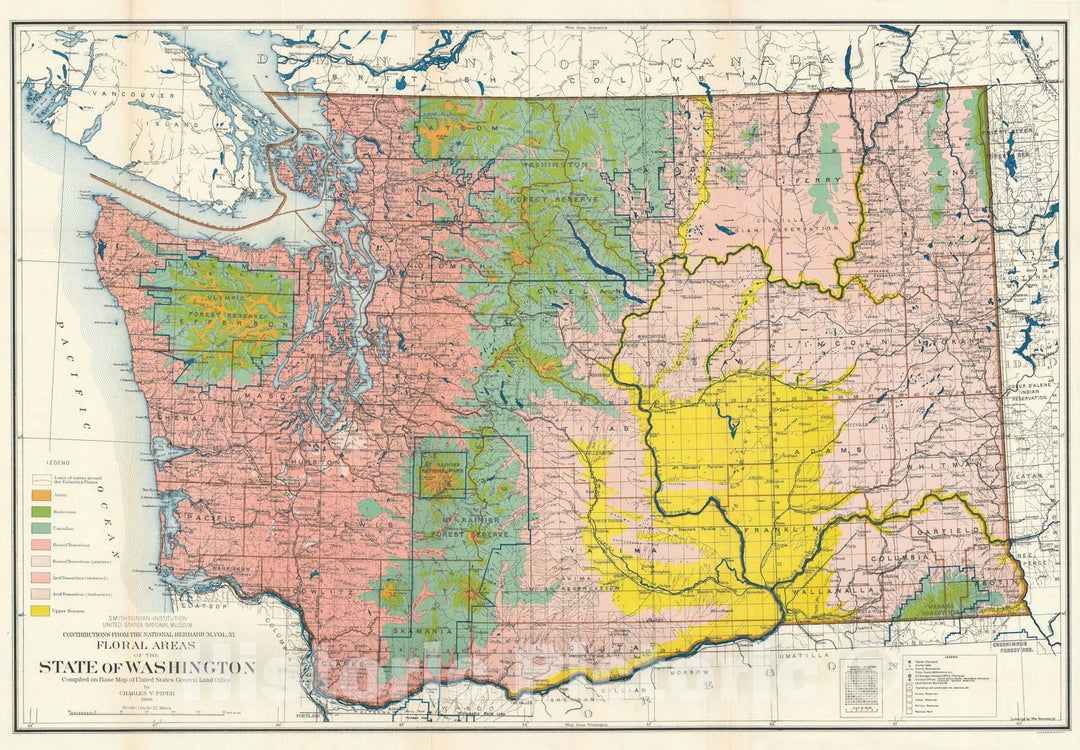 Historic Map : Washington State Floral Areas, Piper, 1906, Vintage Wall Art