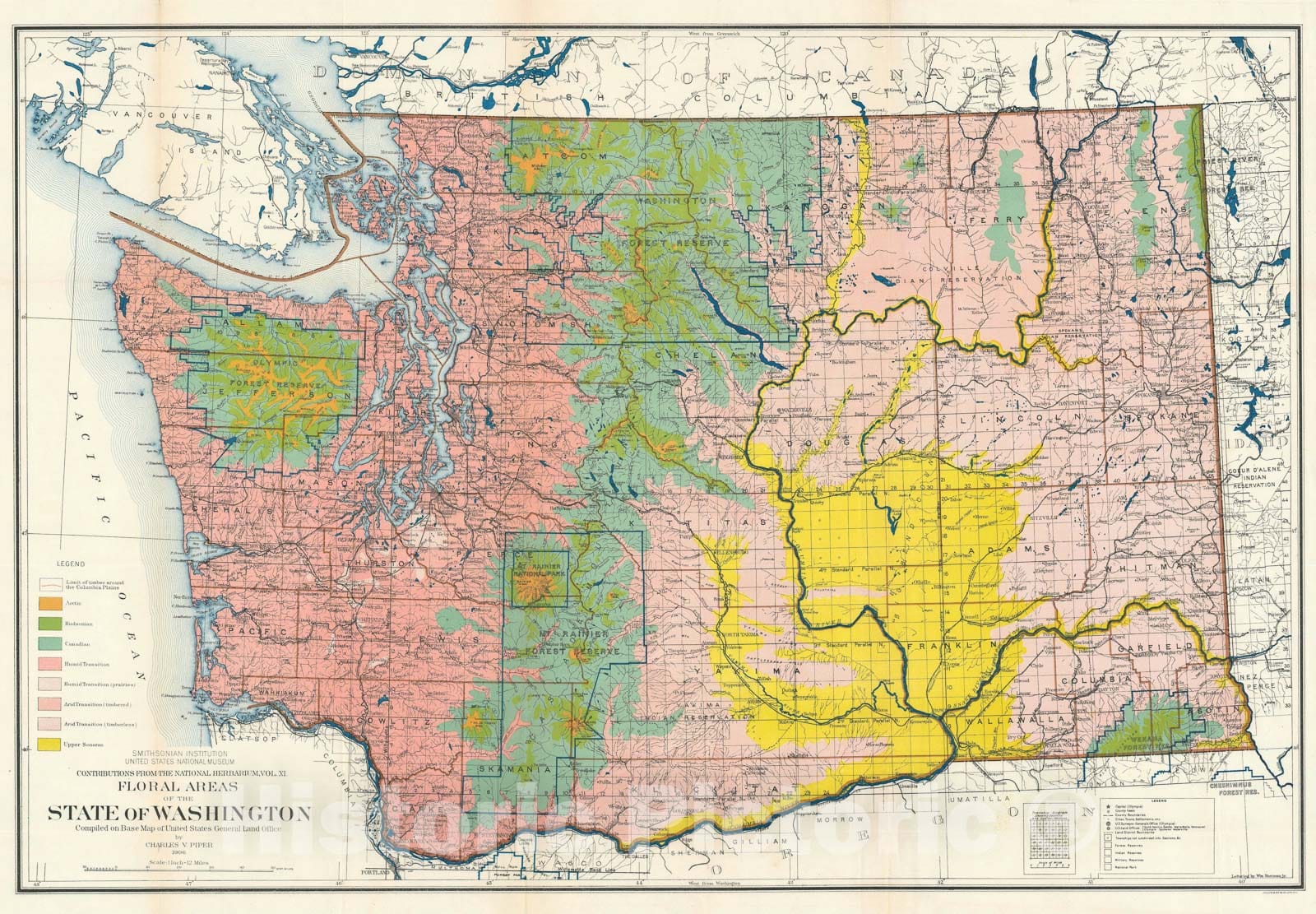 Historic Map : Washington State Floral Areas, Piper, 1906, Vintage Wall Art