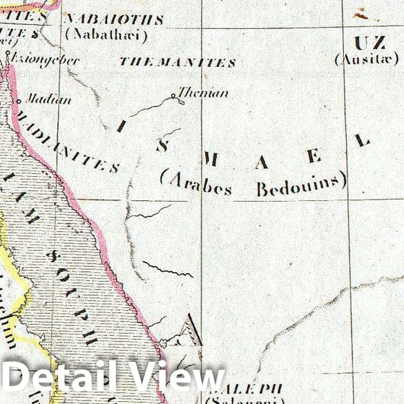 Historic Map : Malte Brun Map of The Biblical Lands of The Hebrews (Egypt, Arabia, Israel, Turkey) , 1843, Vintage Wall Art