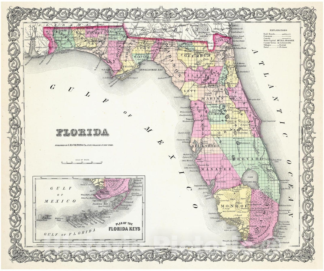 Historic Map : Colton Map of Florida, 1855, Vintage Wall Art