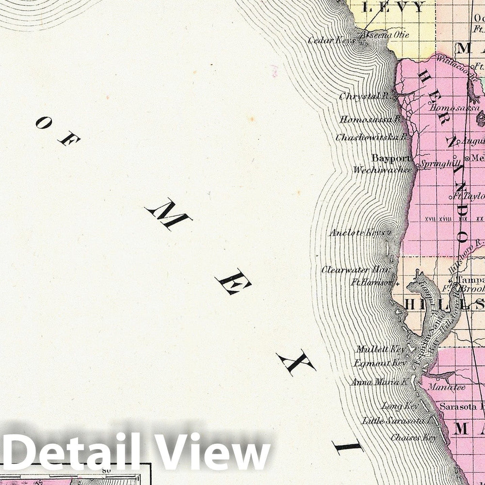 Historic Map : Colton Map of Florida, 1855, Vintage Wall Art