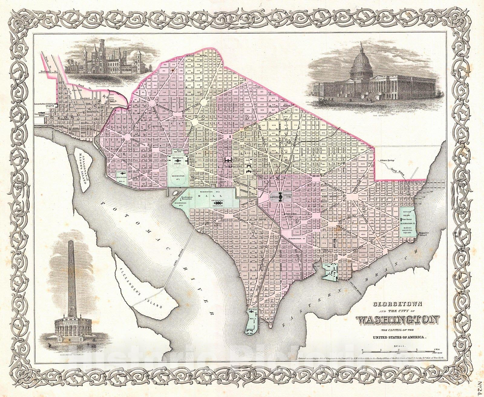 Historic Map : Colton Plan or Map of Washington D.C. , 1855, Vintage Wall Art