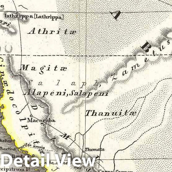 Historic Map : Spruner Map of Arabia and Egypt in Antiquity, 1865, Vintage Wall Art