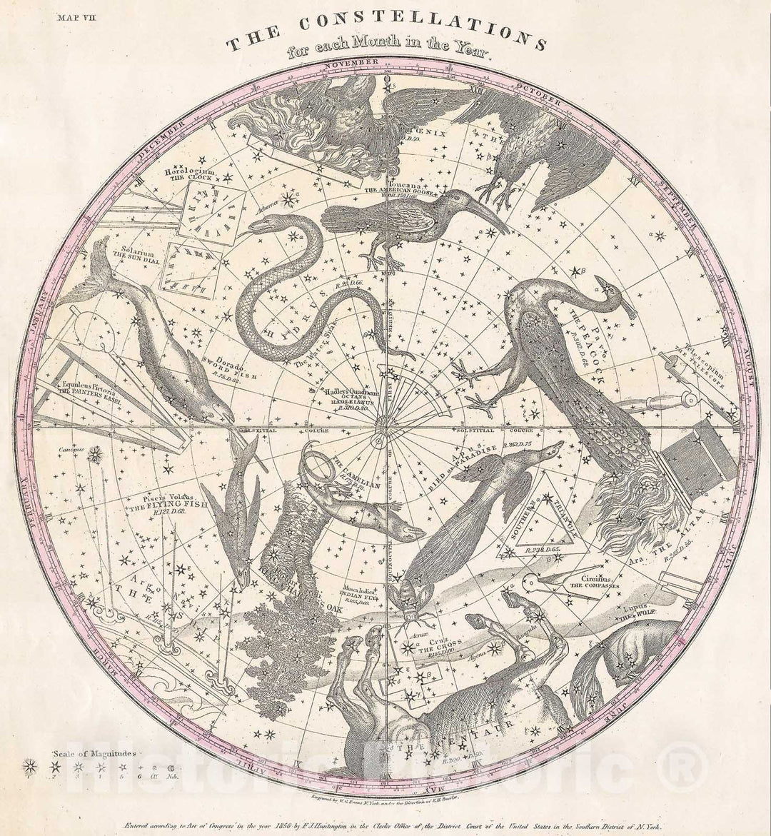 Historic Map : Burritt, Huntington Map of The Stars & Constellations of The Southern Hemisphere , 1856, Vintage Wall Art