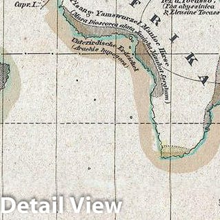 Historic Map : Meyer Map of The World Showing The Distribution of Plants, 1852, Vintage Wall Art