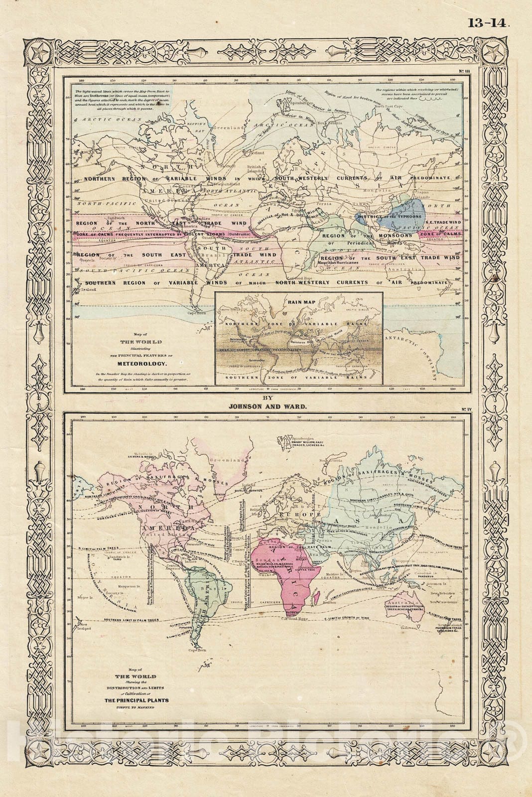 Historic Map : Johnson Map of The World Showing Meteorology, Rainfall and Plants, 1863, Vintage Wall Art