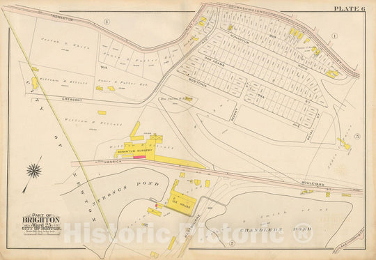 Historic Map : Atlas City of Boston Ward 25 Brighton, Brighton 1909 Plate 006 , Vintage Wall Art