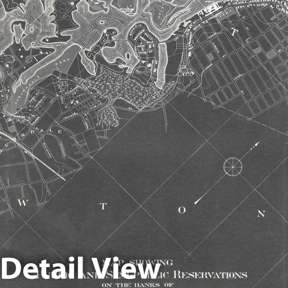 Historic Map : Newton, Charles River Reservations 1894 , Nirenstein's National Preferred Real Estate Locations of Business Properties , Vintage Wall Art