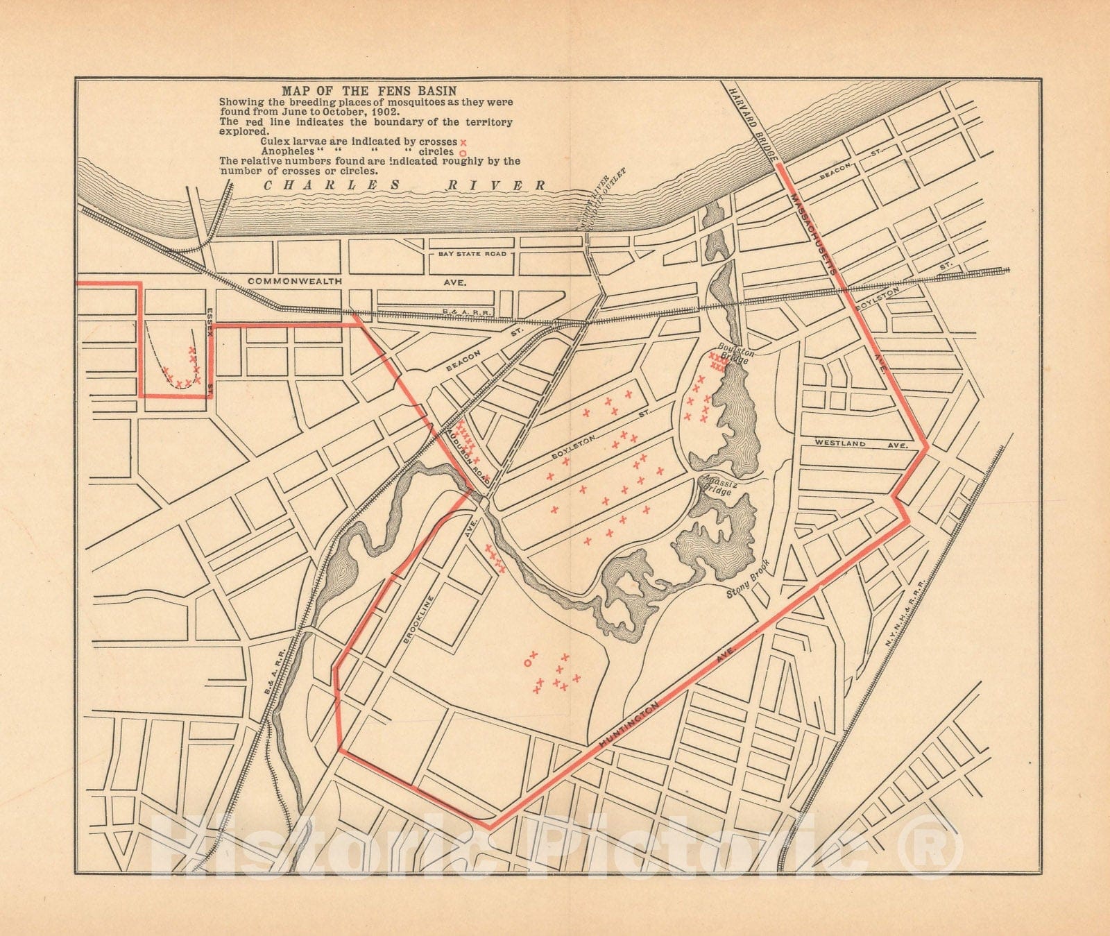 Historic Map : Fens Basin Mosquito Larve Map 1902 Charles River Dam Report , Vintage Wall Art