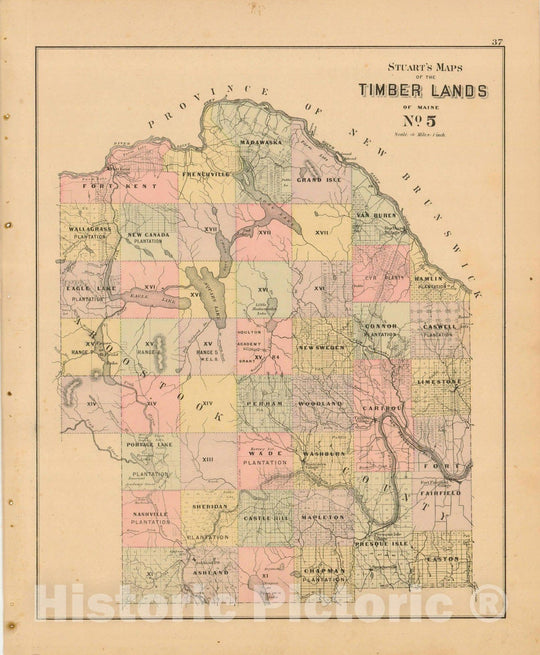 Historic Map : Atlas State of Maine, Timber Lands Number 5 1894-95 , Vintage Wall Art