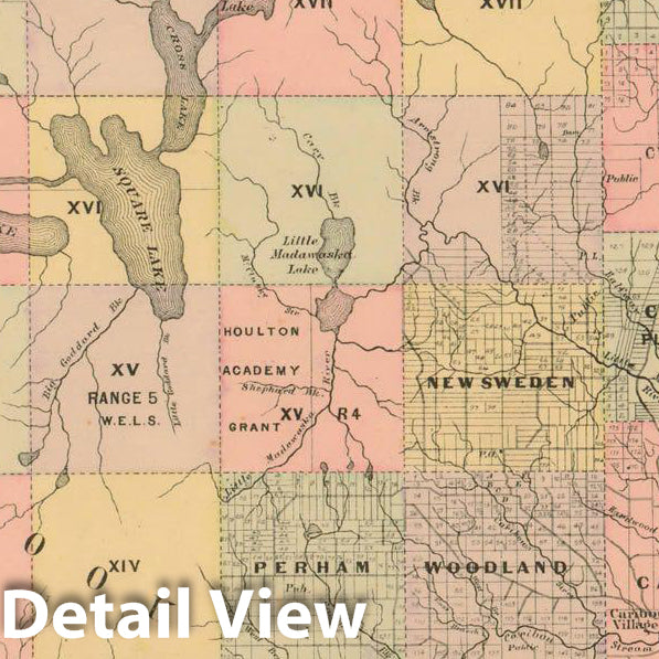 Historic Map : Atlas State of Maine, Timber Lands Number 5 1894-95 , Vintage Wall Art