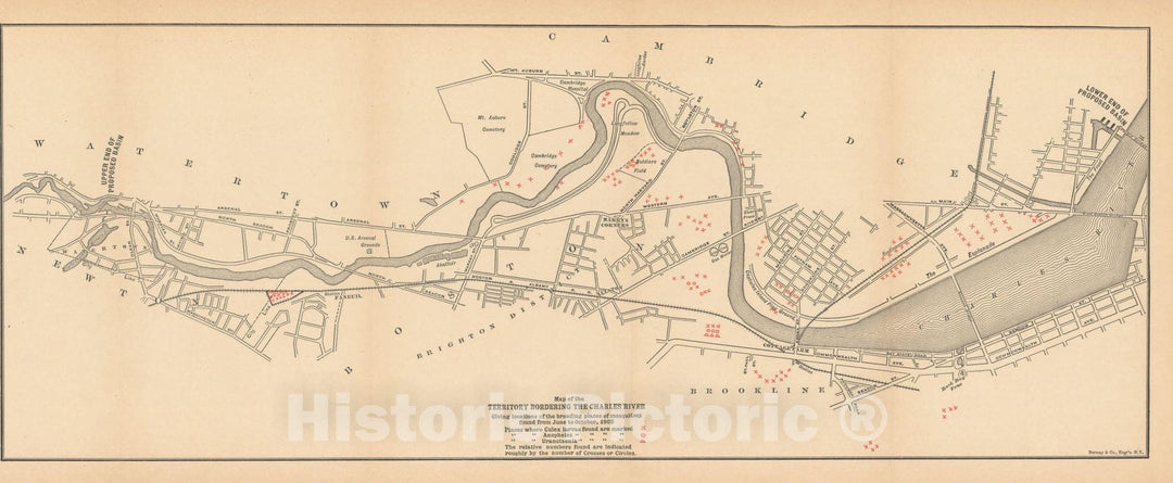 Historic Map : Charles River Mosquito Larve Map 1902 Charles River Dam Report , Vintage Wall Art