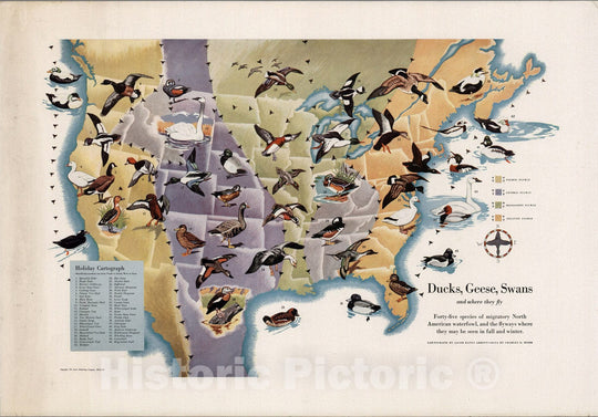 Historic Map - Ducks, geese, swans, and where they fly : forty-five species of migratory North American 1946, Historic Map - Vintage Wall Art