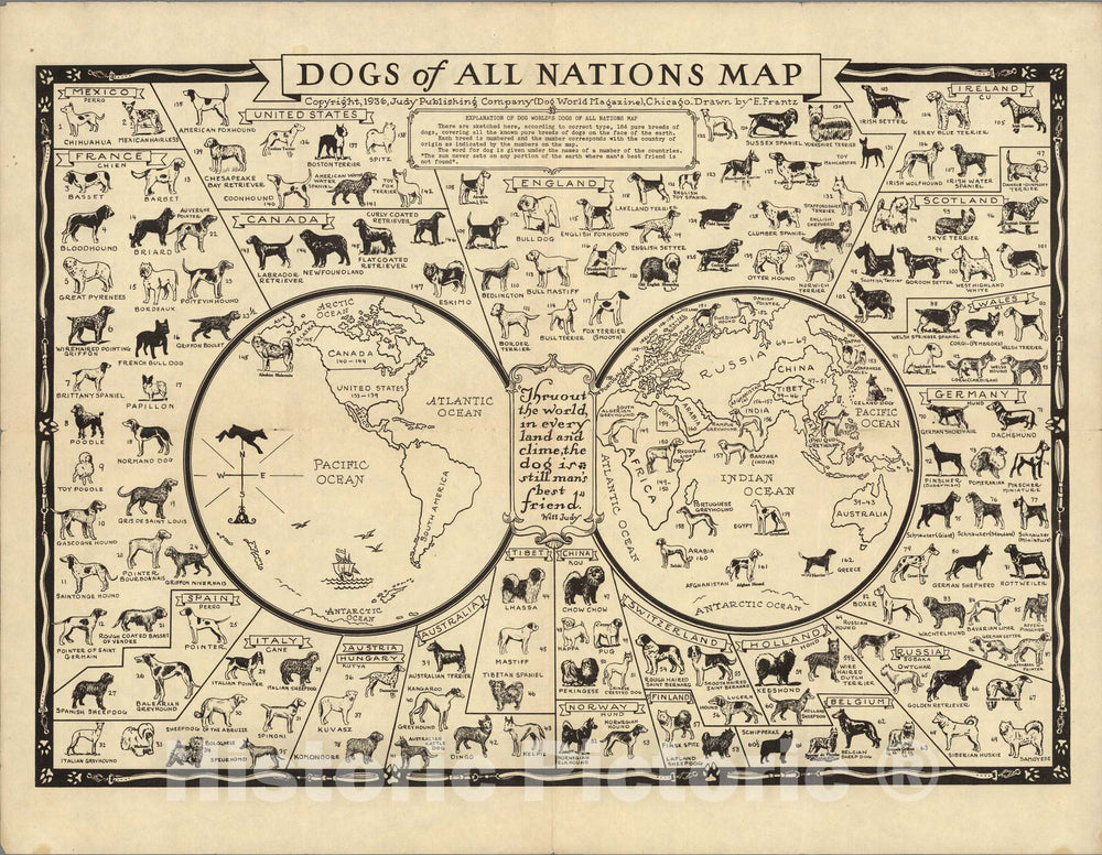 Historic Map - Dogs of All Nations Map, 1936, - Vintage Wall Art