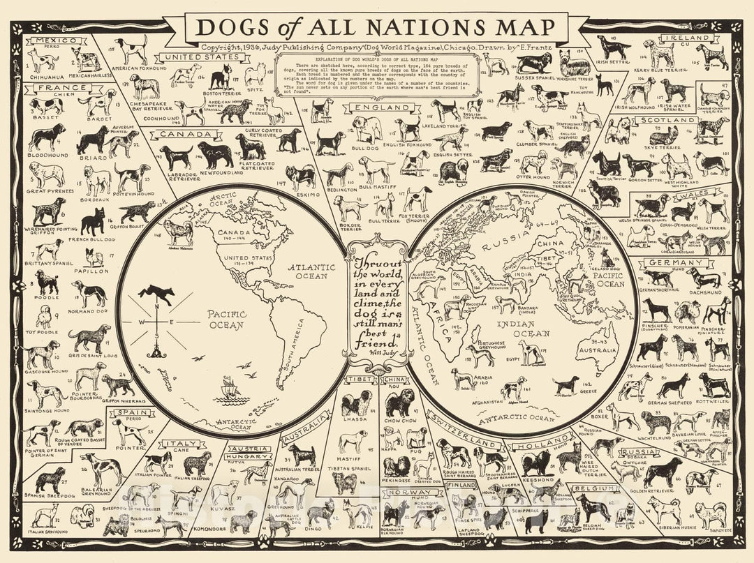 Historic Map - Dogs of All Nations Map, 1936, - Vintage Wall Art