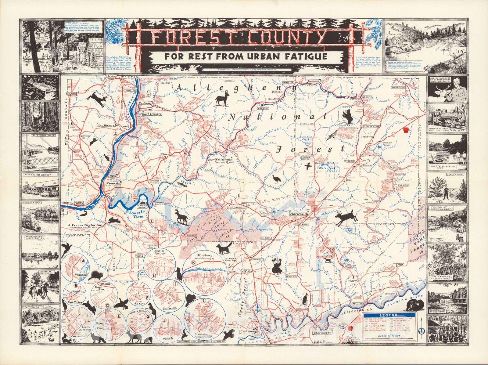 Historic Map : Forest country : For rest from urban fatigue 1957 - Vintage Wall Art