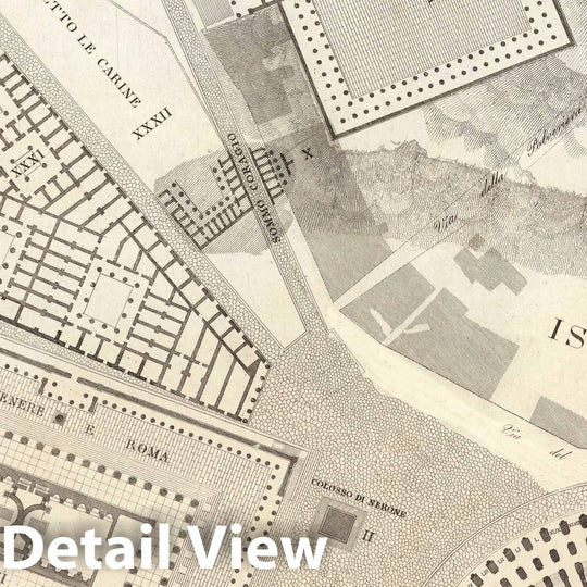 Historic Map : Italy , Rome (Italy), TAV IX .B Pianta topografica della parte media di Roma antica 1847 , Vintage Wall Art