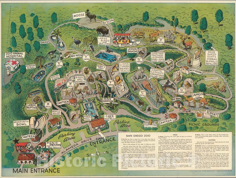 Historic Map : San Diego Zoo (Calif) San Diego Zoo. 1948, Historic Map , Vintage Wall Art