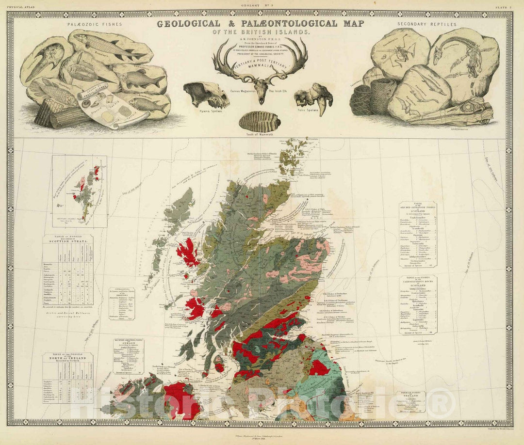 Historic Map : Geological, palaeontological map British Islands, 1854 - Vintage Wall Art