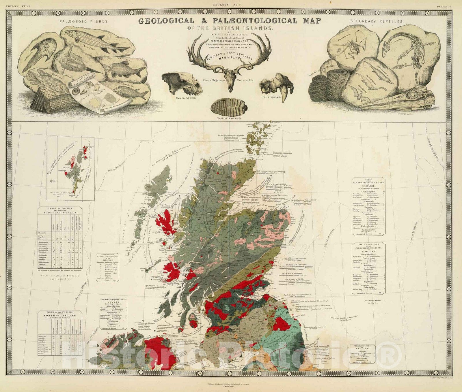 Historic Map : Geological, palaeontological map British Islands, 1854 - Vintage Wall Art