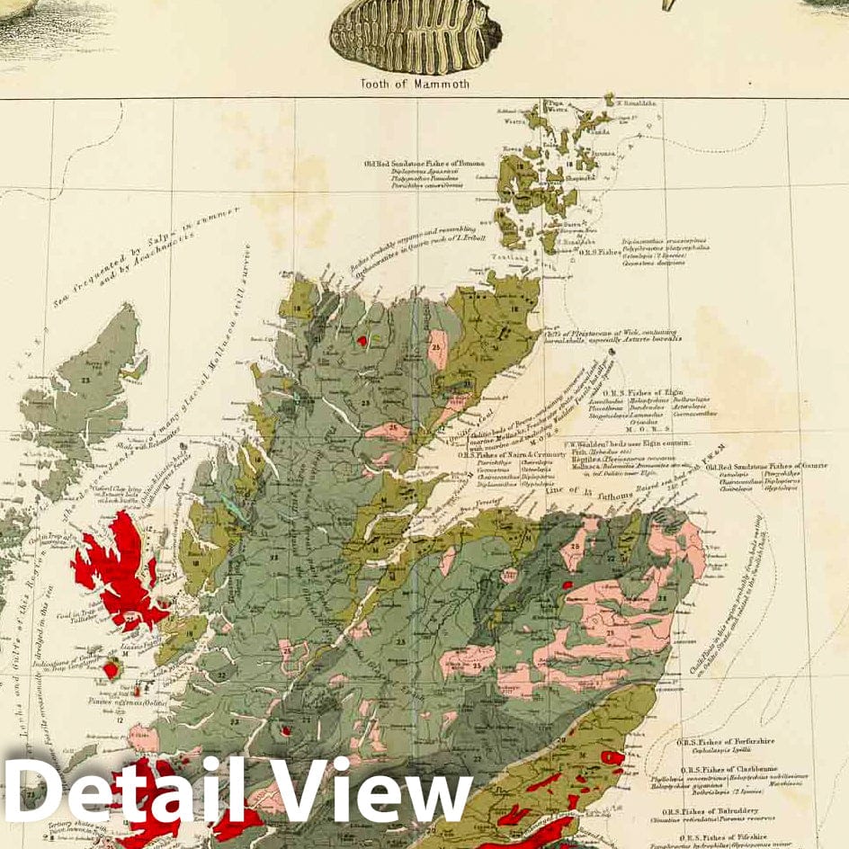 Historic Map : Geological, palaeontological map British Islands, 1854 - Vintage Wall Art