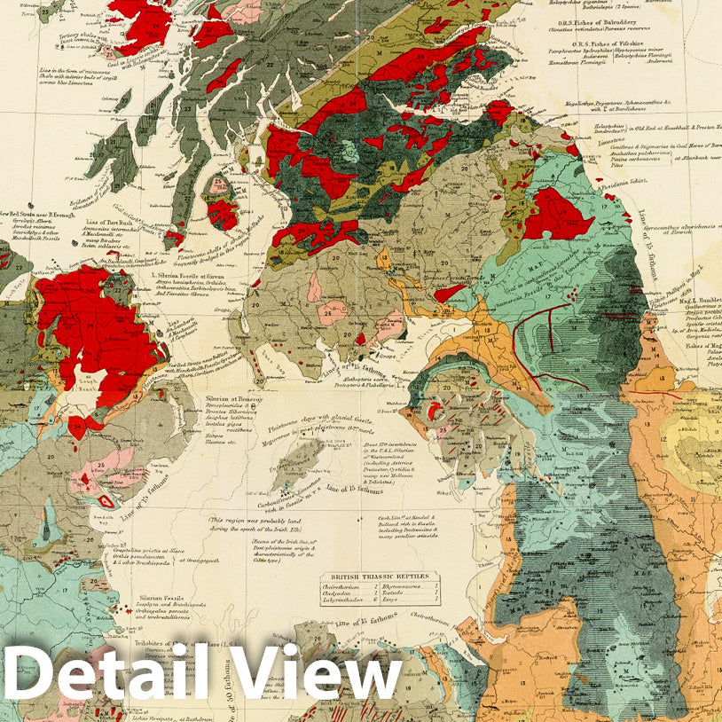 Historic Map : Composite: Geological, palaeontological map British Islands, 1854 - Vintage Wall Art