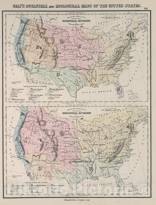 Historic Map : Botanical and Zoological Maps of the United States, 1877 - Vintage Wall Art