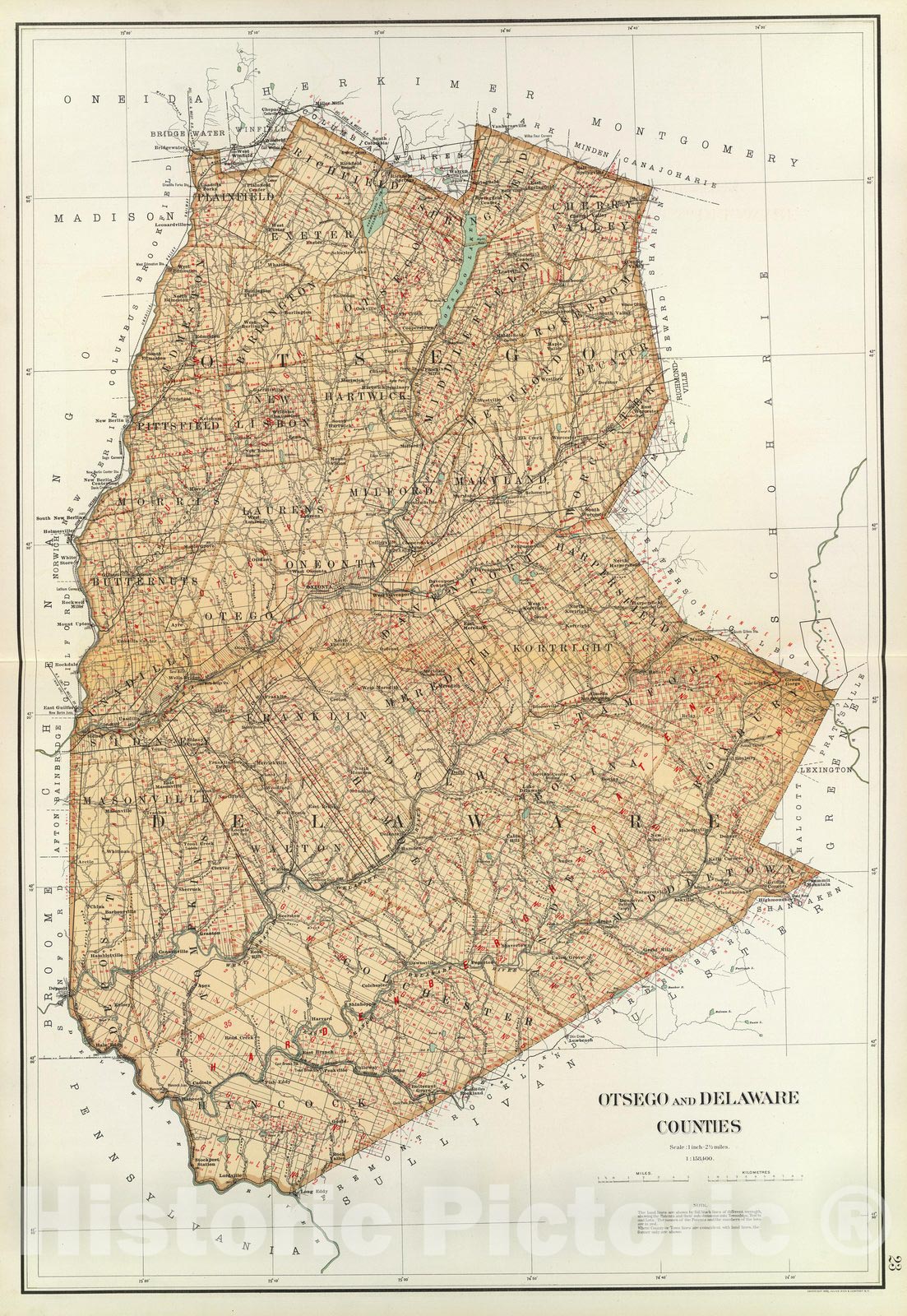 Historic Map : State Atlas Map, Otsego, Delaware counties. 1895 - Vintage Wall Art