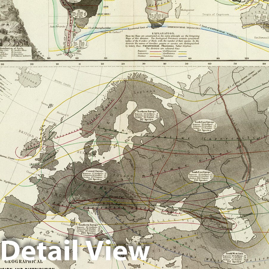 Historic Map : Alps, Europe; World Physical Atlas Map, Aves, Birds. 1856 , Vintage Wall Art