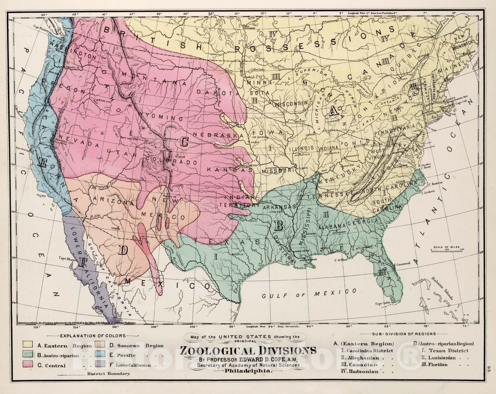 Historic Map : World Atlas Map, United States showing the Principal Zoological Divisions. 1873 - Vintage Wall Art