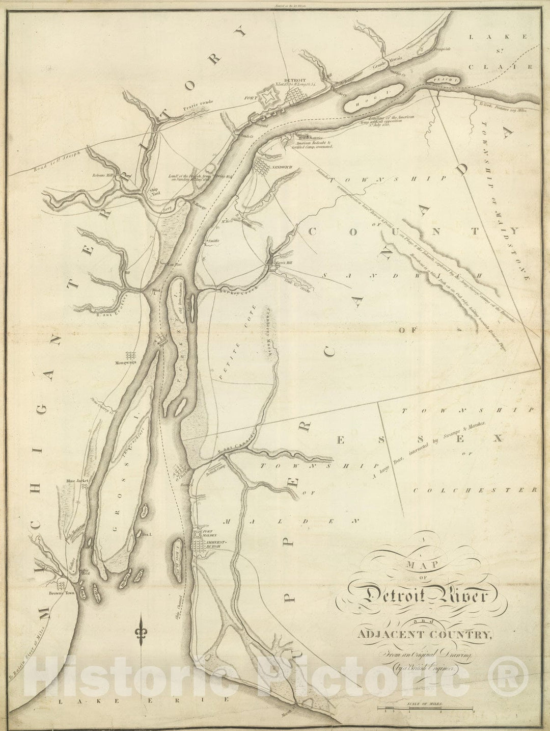 Historic Map : 1824 Map of Detroit River and Adjacent Country. - Vintage Wall Art