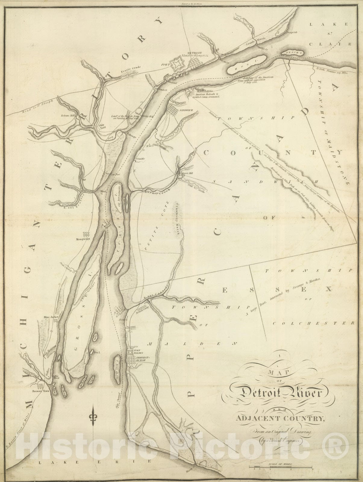 Historic Map : 1824 Map of Detroit River and Adjacent Country. - Vintage Wall Art