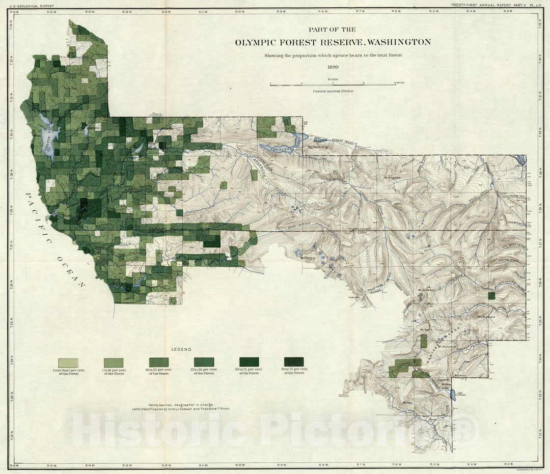 Historic Map : Geologic Atlas - 1900 Plate LXI. The proportion of spruce, part of the Olympic Forest Reserve, Washington. - Vintage Wall Art