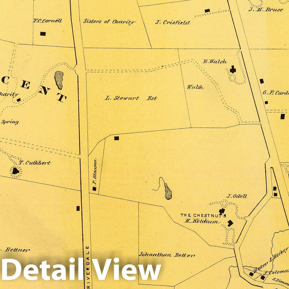 Historic Map : Bronx (New York, N.Y.), New 1868 Yonkers, N.Y. v1 , Vintage Wall Art