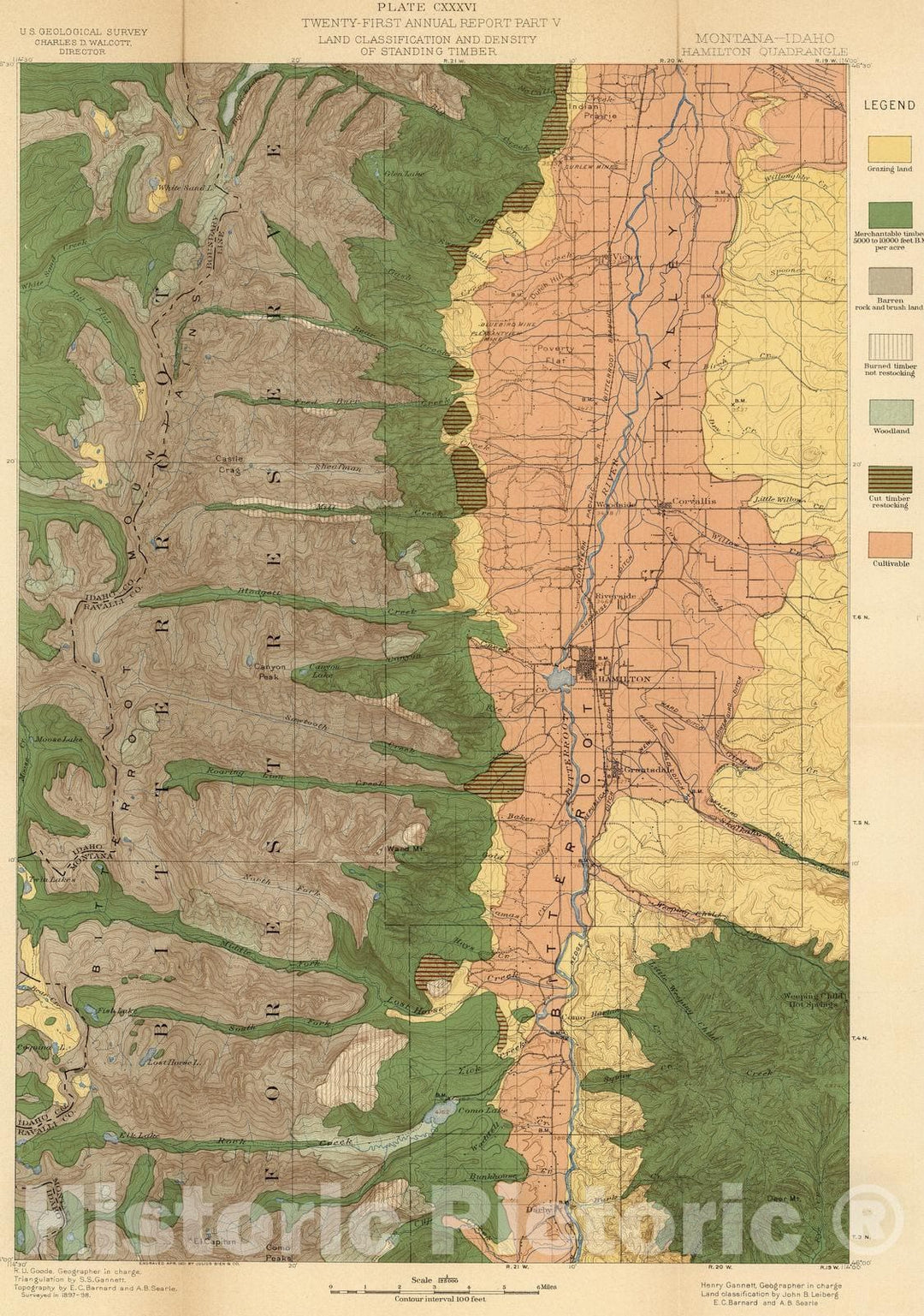 Historic Map - Geologic Atlas - 1900 Plate CXXXVI. Hamilton Quadrangle, Montana-Idaho, Land Classification and Density of Standing Timber. - Vintage Wall Art