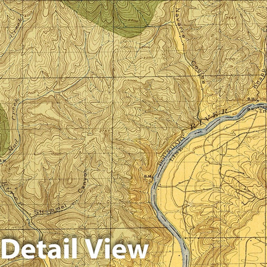 Historic Map : Geologic Atlas - 1900 Plate CXXXIII. Chelan Quadrangle, Washington, Land Classification and Density of Standing Timber. - Vintage Wall Art