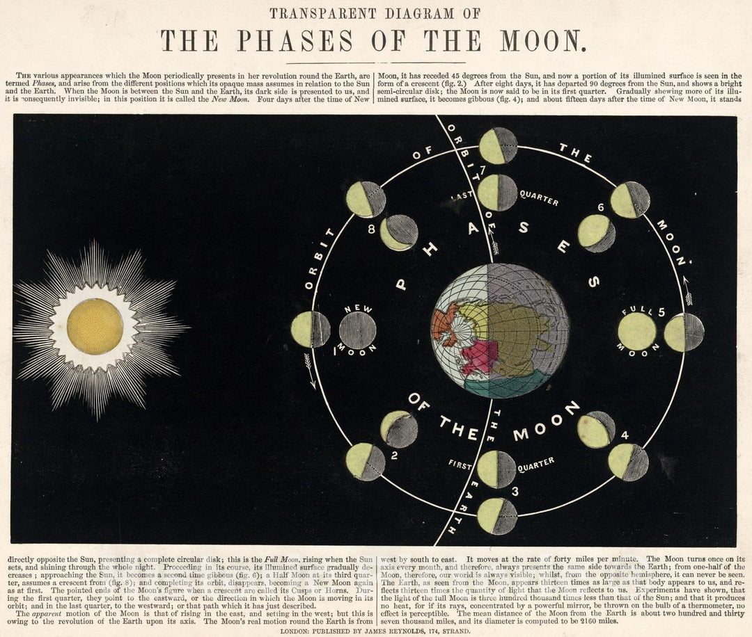 Historic Map : Celestial Atlas - 1851 Transparent diagram of the phases of the Moon - Vintage Wall Art