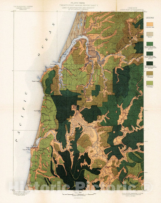 Historic Wall Map : Geologic Atlas - 1900 Plate CXXVII. Coos Bay Quadrangle, Oregon, Land Classification and Density of Standing Timber. - Vintage Wall Art