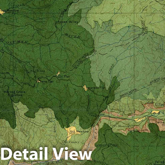 Historic Map : Geologic Atlas - 1900 Plate CXVI. Yosemite Quadrangle, California. Land Classification and Density of Standing Timber. - Vintage Wall Art